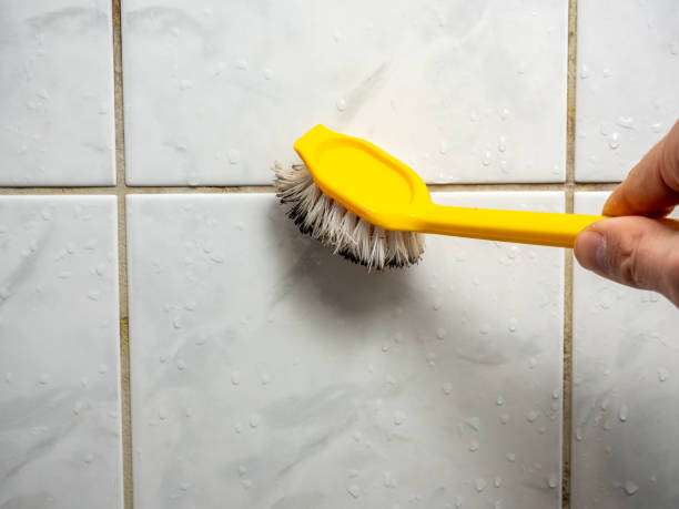 Best Office Mold Removal Services  in Shell Ridge, CA