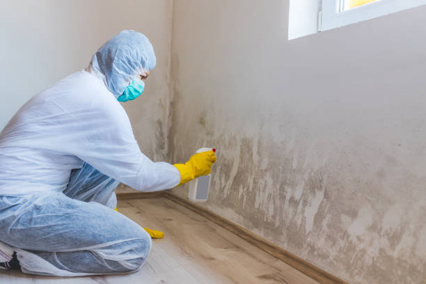 Best Crawl Space Mold Removal  in Shell Ridge, CA